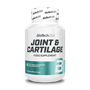 Joint & Cartilage